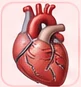 Medicinska ilustracija: Srčni infarkt